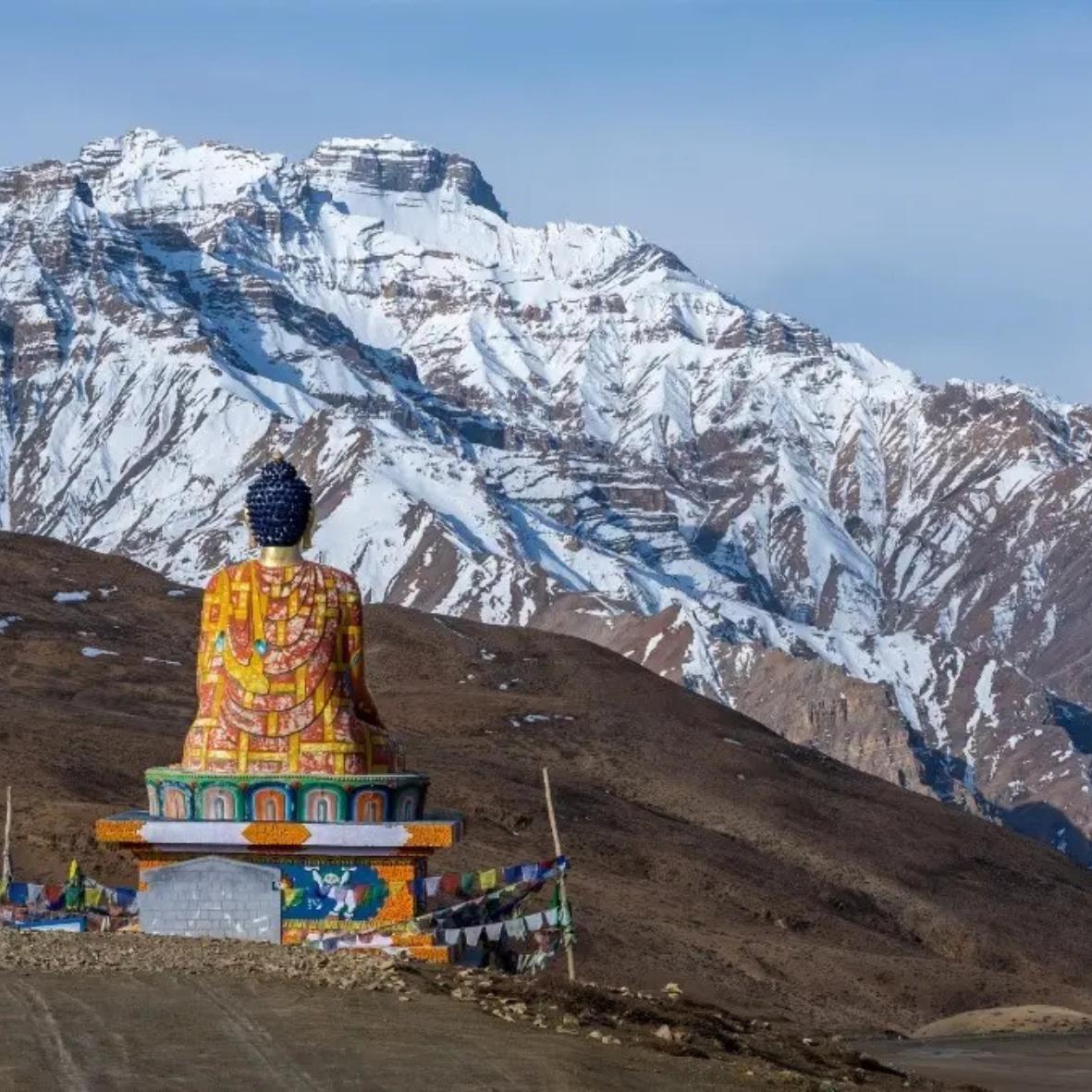 WhatsApp Image 2026-01-18 at 4.20